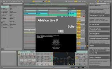 ableton live suite 10 license